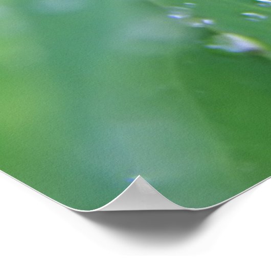 Dewdrop Poster (Ecke)