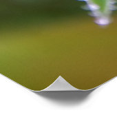 Dewdrop Poster (Ecke)