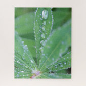 Dewdrop Puzzle (Vertikal)