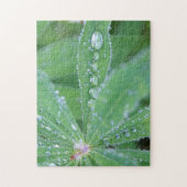 Dewdrop Puzzle (Vertikal)