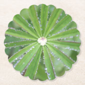 Dewdrop Untersetzer (Vorderseite)