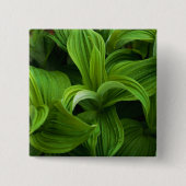 Dewdrops auf einem falschen Helabore Button (Vorderseite)