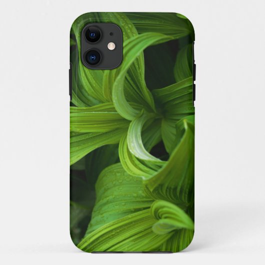 Dewdrops auf einem falschen Helabore Case-Mate iPhone Hülle (Rückseite)