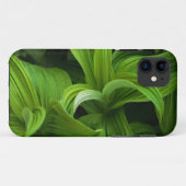 Dewdrops auf einem falschen Helabore Case-Mate iPhone Hülle (Rückseite (Horizontal))