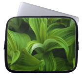 Dewdrops auf einem falschen Helabore Laptopschutzhülle (Vorderseite)