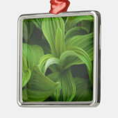 Dewdrops auf einem falschen Helabore Ornament Aus Metall (Links)