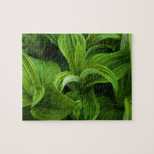 Dewdrops auf einem falschen Helabore Puzzle