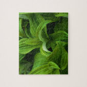 Dewdrops auf einem falschen Helabore Puzzle (Vertikal)