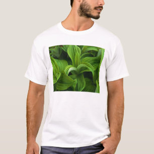 Dewdrops auf einem falschen Helabore T-Shirt