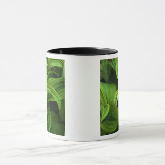 Dewdrops auf einem falschen Helabore Tasse (Zentrum)