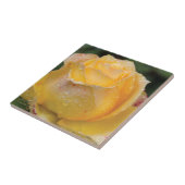 Dewdrops auf gelber Rose - Keramik-Fliese Fliese (Seite)