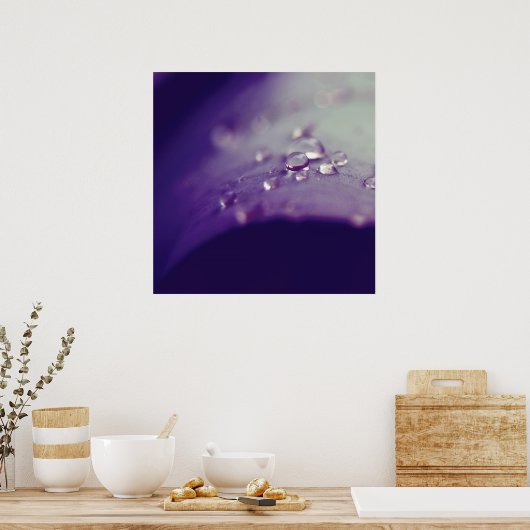 Dewdrops auf Lila Green Leaf Macro Abstrakt Poster (Küche)