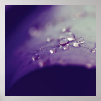 Dewdrops auf Lila Green Leaf Macro Abstrakt Poster