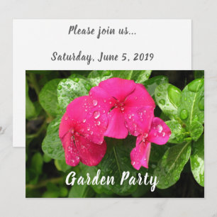 Dewdrops auf Periwinkle Garden Party Einladungen