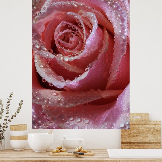 Dewdrops on Dusky Pink Rose Poster (Küche)