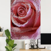 Dewdrops on Dusky Pink Rose Poster (Heimbüro)