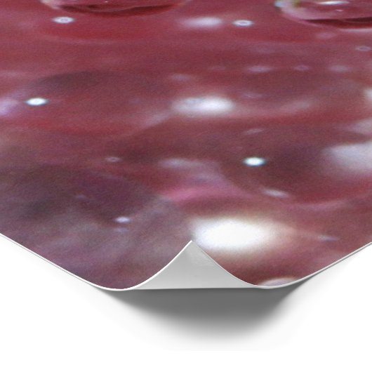 Dewdrops on Dusky Pink Rose Poster (Ecke)