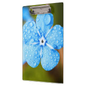 Dewey Blue Blume Klemmbrett (Links)