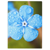 Dewey Blue Blume Klemmbrett (Rückseite)