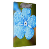 Dewey Blue Blume Klemmbrett (Rechts)