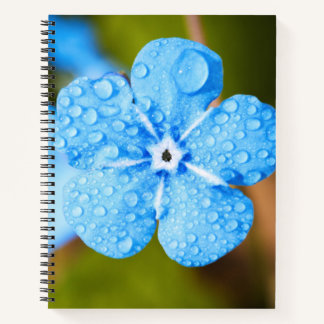 Dewey Blue Blume Spiral Notebook Notizblock