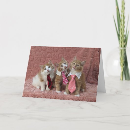 Dewey, Louie und Huey sind alle aufgekleidet Karte (Vorderseite)