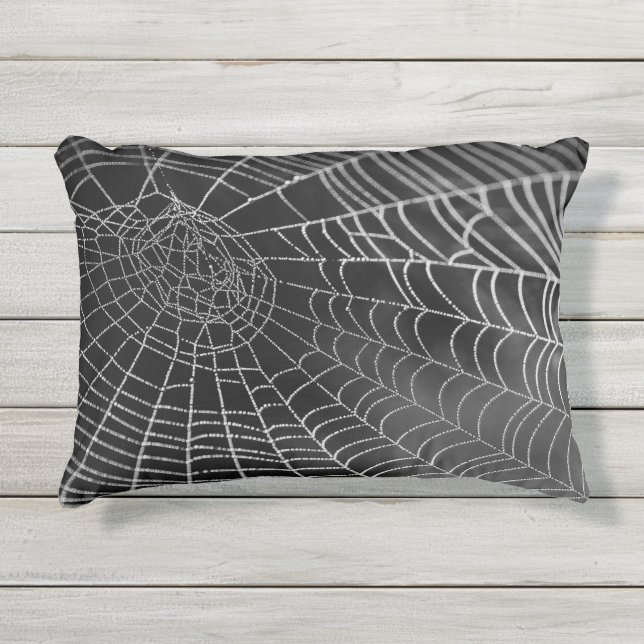 Dewey Spiderweb Kissen Für Draußen (Vorderseite)