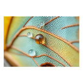 Dewlit Wing Muster Poster (Vorderseite)