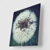 Dewy Dandelion Uhr ...Uhr! (Winkel)