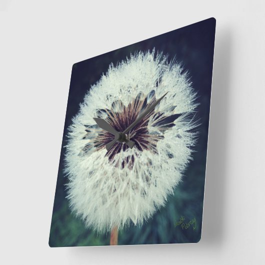 Dewy Dandelion Uhr ...Uhr! (Winkel)