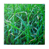 Dewy Grass Fliese (Vorderseite)
