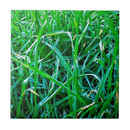 Dewy Grass Fliese (Vorderseite)
