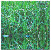 Dewy Grass Stoff (Nahaufnahme)