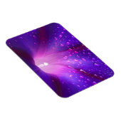 Dewy Morning Glory Magnet (Rechte Seite)