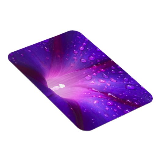 Dewy Morning Glory Magnet (Rechte Seite)