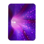 Dewy Morning Glory Magnet (Vertikal)