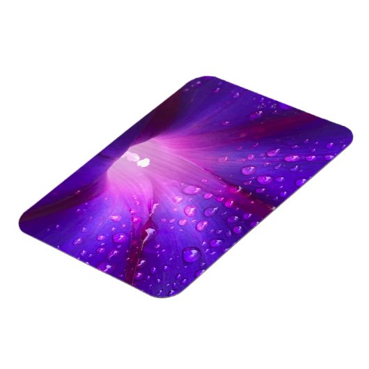 Dewy Morning Glory Magnet (Linke Seite)