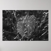 Dewy Morning Web Poster (Vorne)
