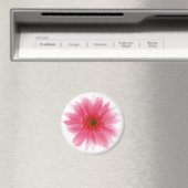 Dewy Pink Gerbera Blume Magnet (In Situ (Geschirrspüler))