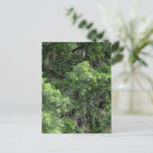 Dewy Spider Web Postkarte (Stehend Vorderseite)