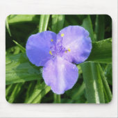 Dewy Trillium Spring Wildblume Mousepad (Vorne)