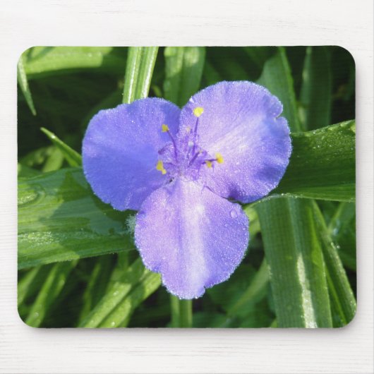 Dewy Trillium Spring Wildblume Mousepad (Vorne)