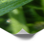 Dewy Trillium Spring Wildblume Poster (Ecke)