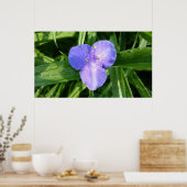 Dewy Trillium Spring Wildblume Poster (Küche)