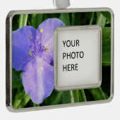 Dewy Trillium Spring Wildblume Rahmen-Ornament Silber (Rechts)