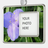 Dewy Trillium Spring Wildblume Rahmen-Ornament Silber (Links)