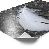 Dewy White Feather Fotodruck (Ecke)