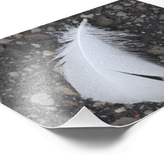 Dewy White Feather Fotodruck (Ecke)