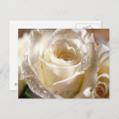Dewy White Rose R.S.V.P. Postkarte (Vorne/Hinten)