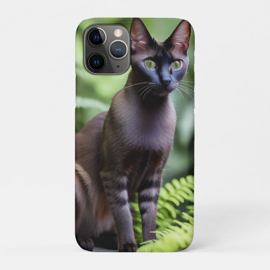 Dexter die schwarze Siamkatze, Case-Mate iPhone Hülle (Rückseite)